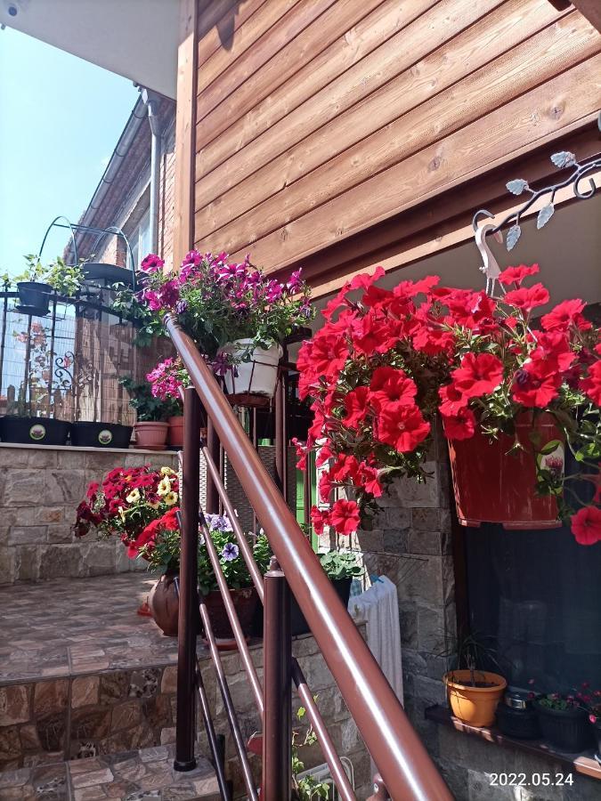 Damaris Hotel Sozopol Exterior foto